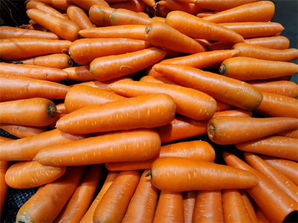红胡萝卜和黄胡萝卜有什么不同？谁的保存时间更长？