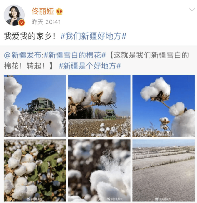 多名艺人终止与多品牌合作 底线不能容忍！