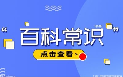 icp备案怎么申请？icp备案需要准备什么材料？