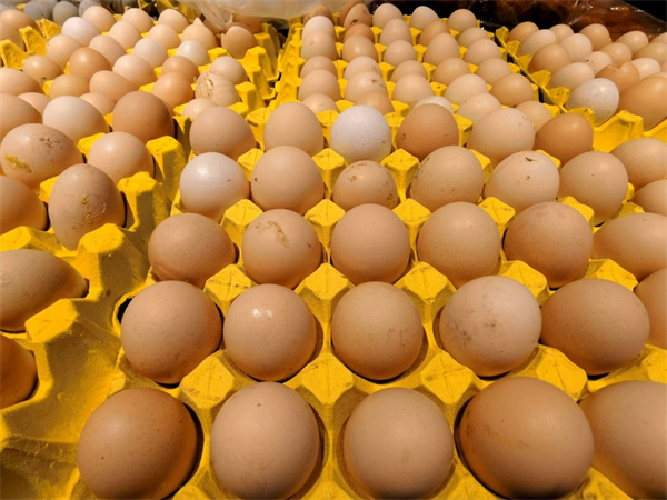 鸭蛋的营养价值有哪些？女性吃鸡蛋好还是鸭蛋好？