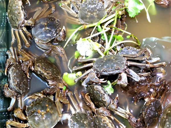 炒湖蟹是哪个地方的菜？湖蟹跟河蟹的区别有哪些？