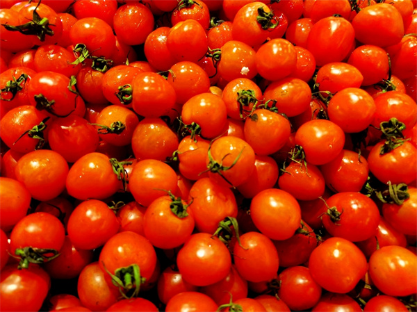 没熟的青西红柿能吃吗？青西红柿的正确吃法有哪些？